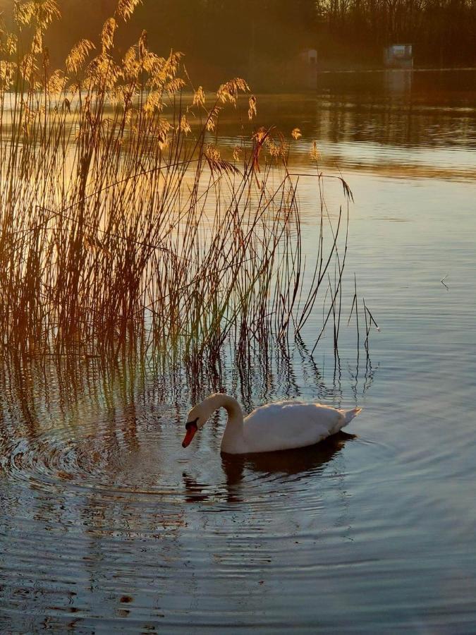 Tramonto Al Lago Гавирате Экстерьер фото